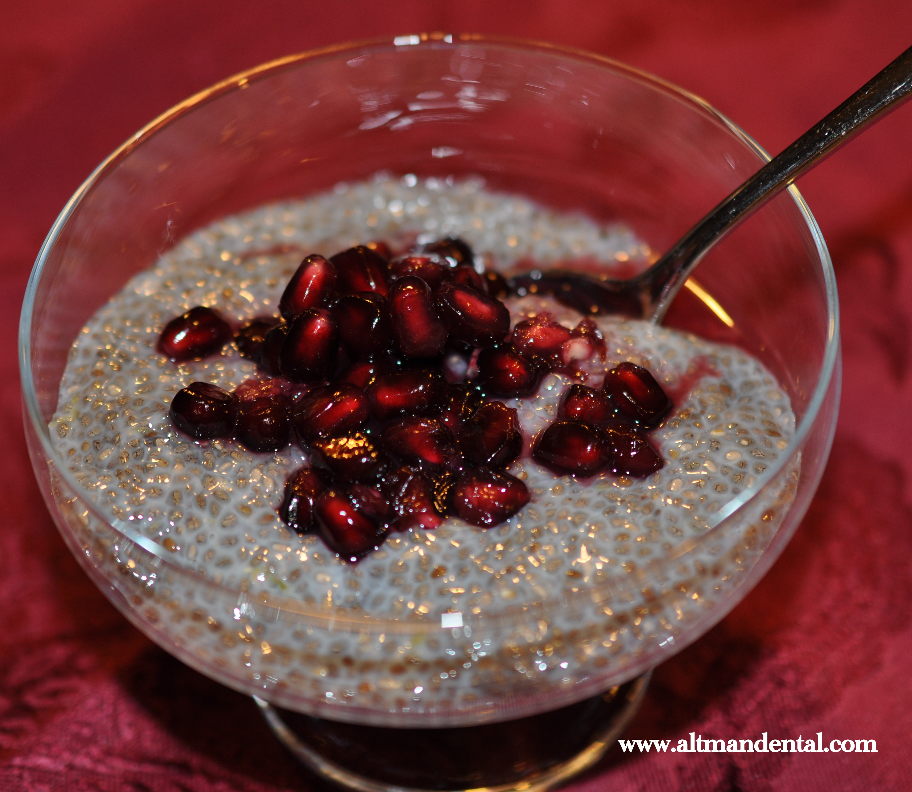 chia pudding in bowl