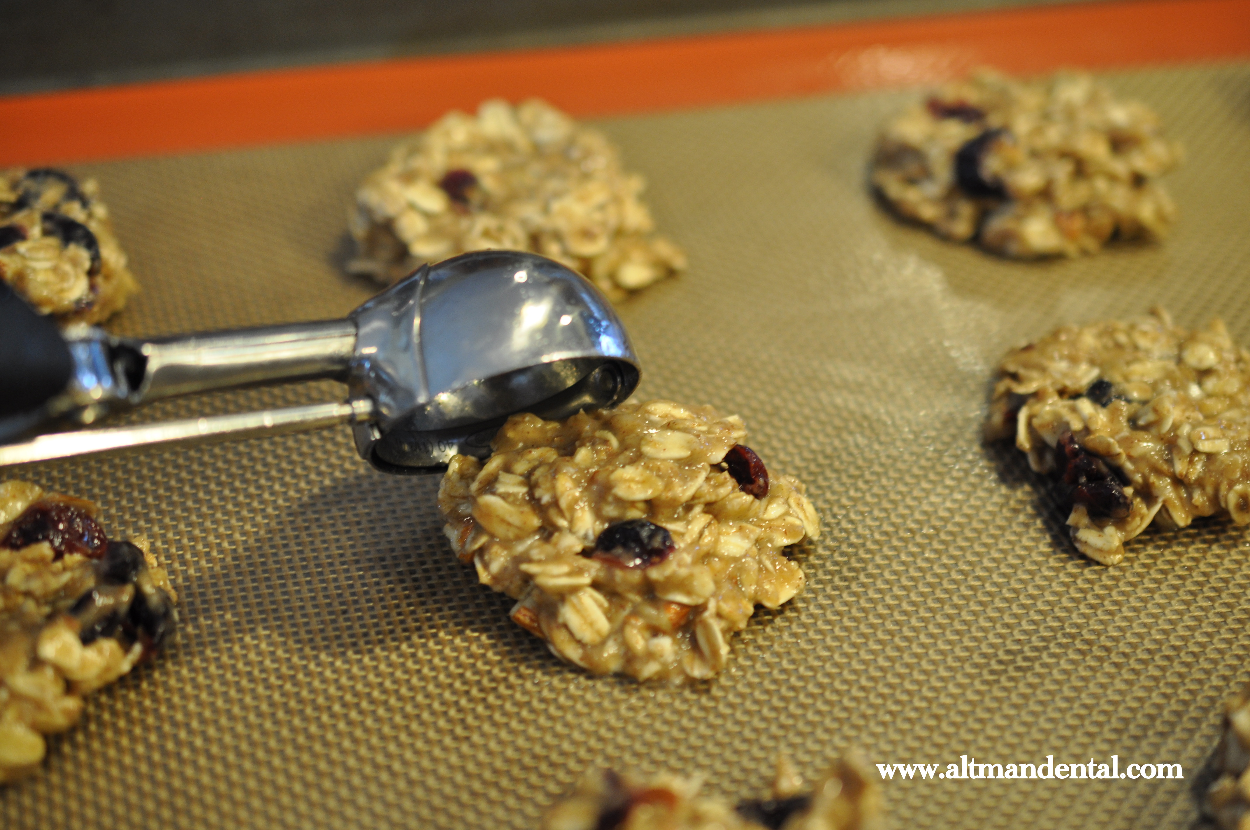 Oatmeal Banana Cookies (gluten free) Garden Fresh Foodie