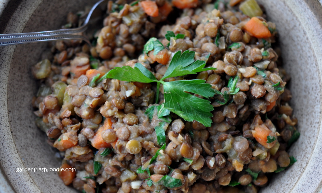 garden fresh oolala lentils vegan