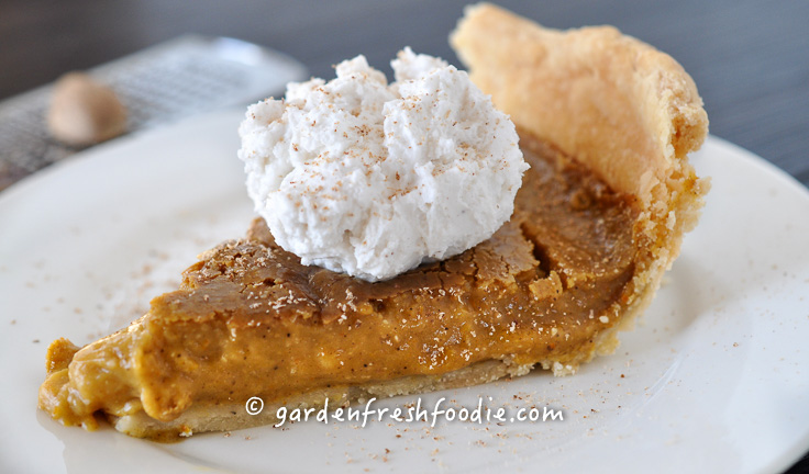 Gluten Free Pumpkin Pie Slice With Coconut Whipped Cream