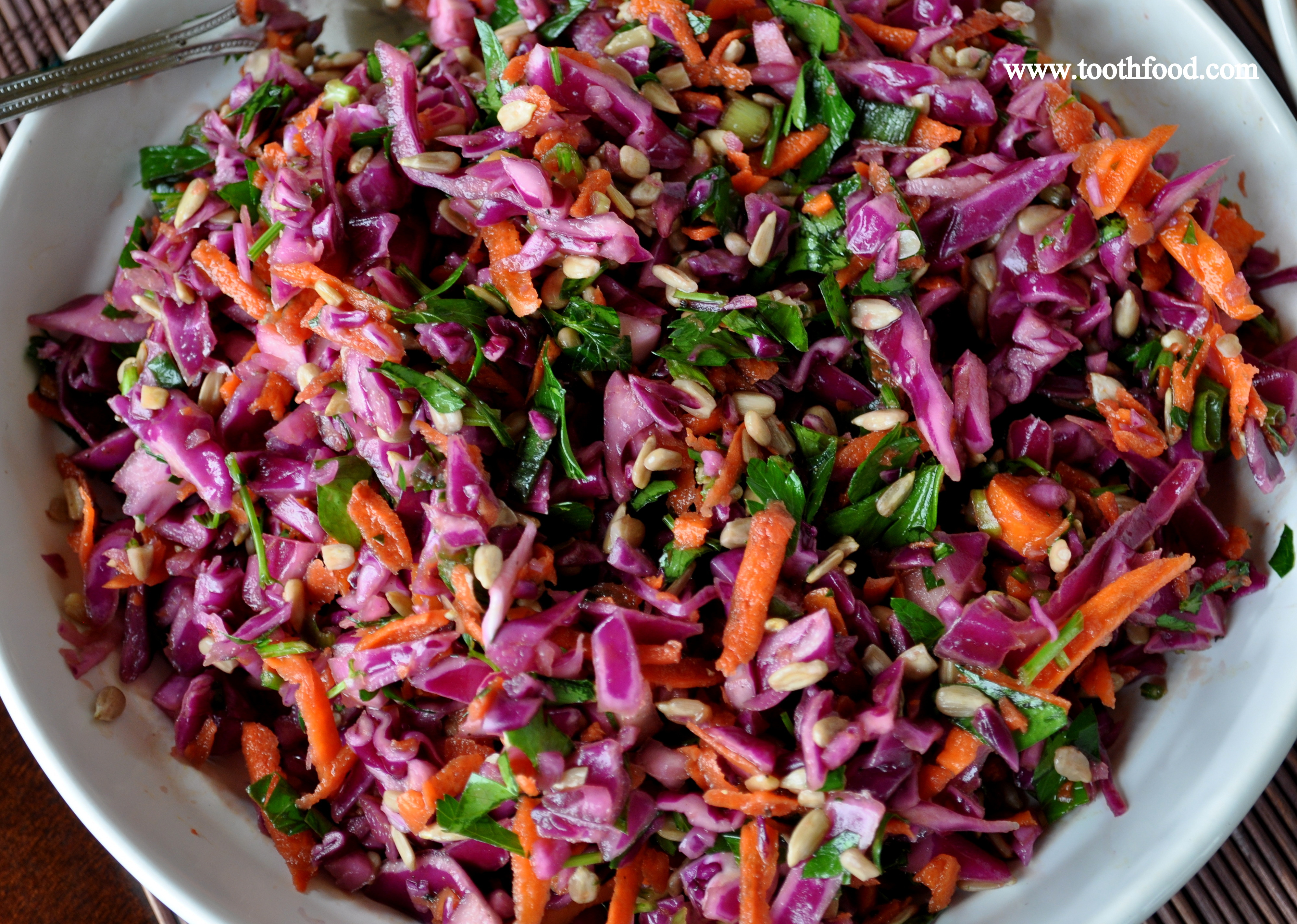 Red Cabbage Slaw Mexican - Frugal Hausfrau
