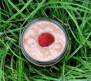 Necto Berry Smoothie