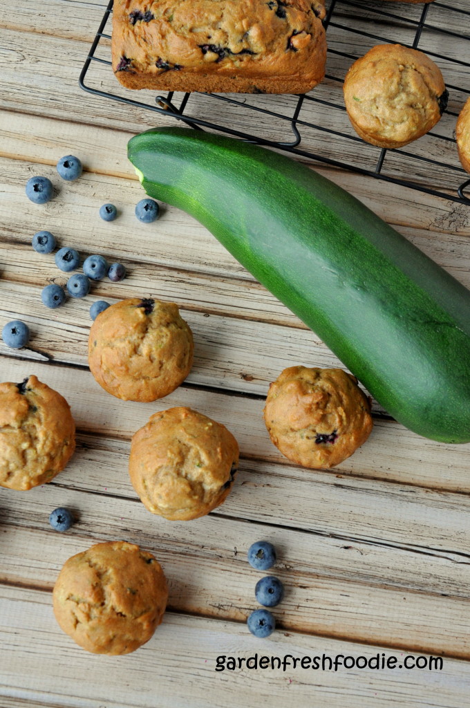 Blueberry Zucchini Breads and Muffins