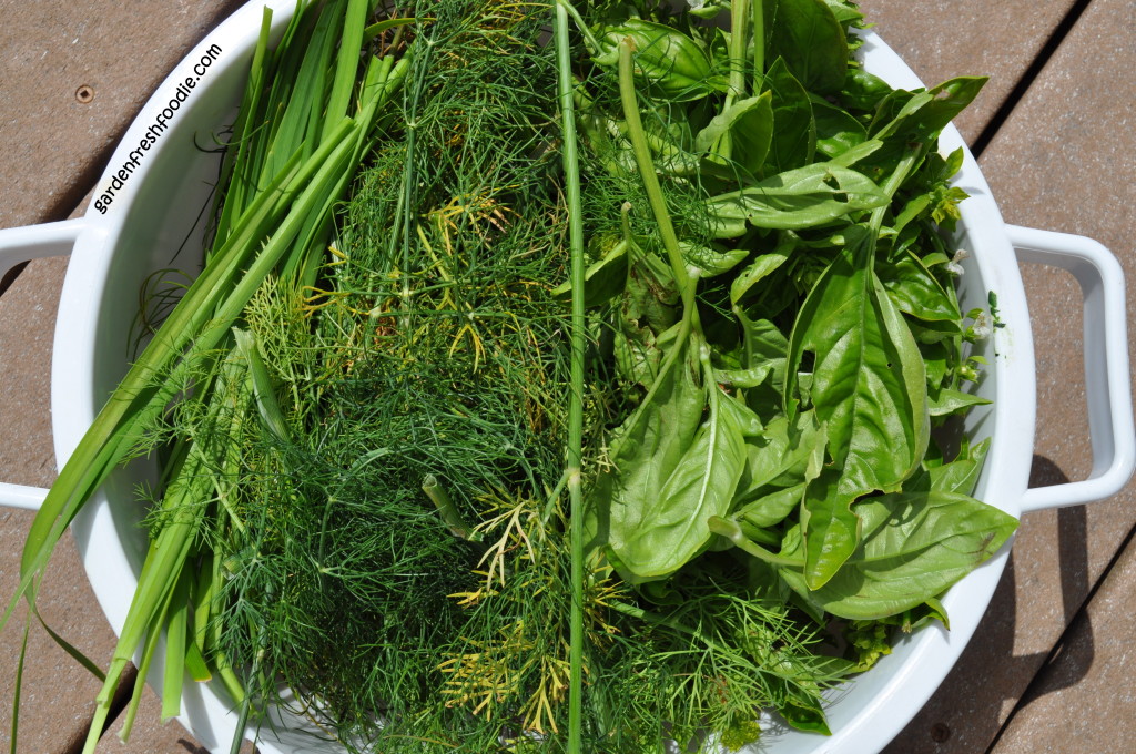 Garden Fresh Herbs