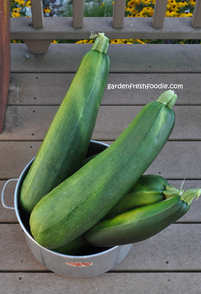 Soup Pot Bursting With Zucchini