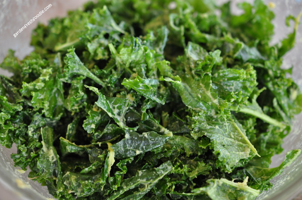 Upclose Massaged Kale