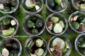 Adding Spices To Pickle Jars