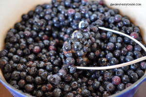 Blueberries For Jam