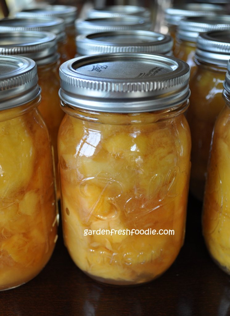 Canned Peaches In Own Juice