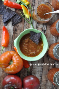 Garden Fresh Foodie Salsa