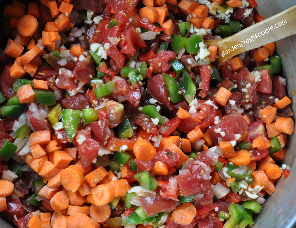 Garden Fresh Foodie Tomato Sauce Ingredients
