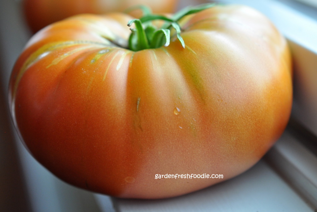 Yellow Tomato