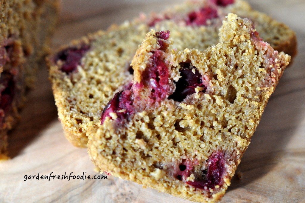 Bite of Pumpkin Cranberry Bread