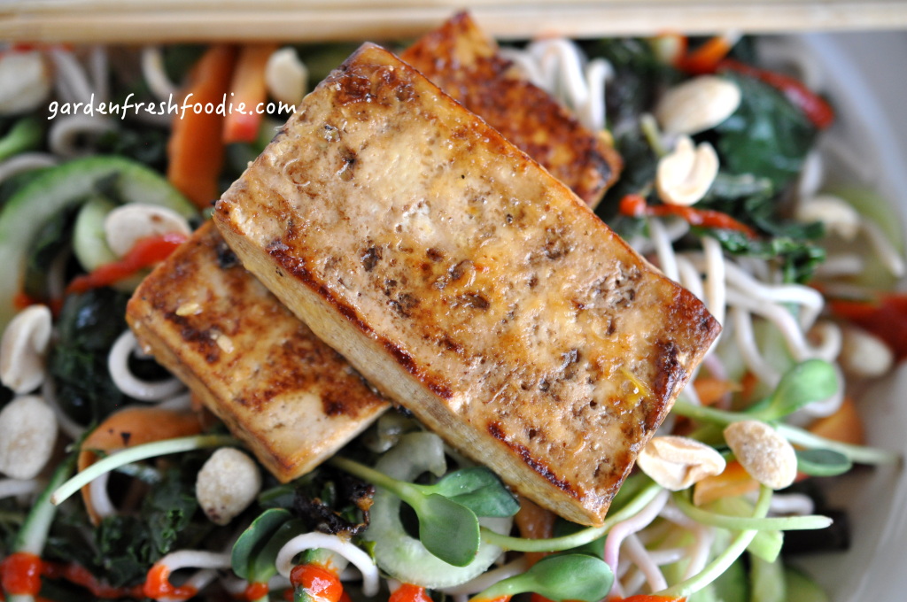 Pieces of Tropical Tofu