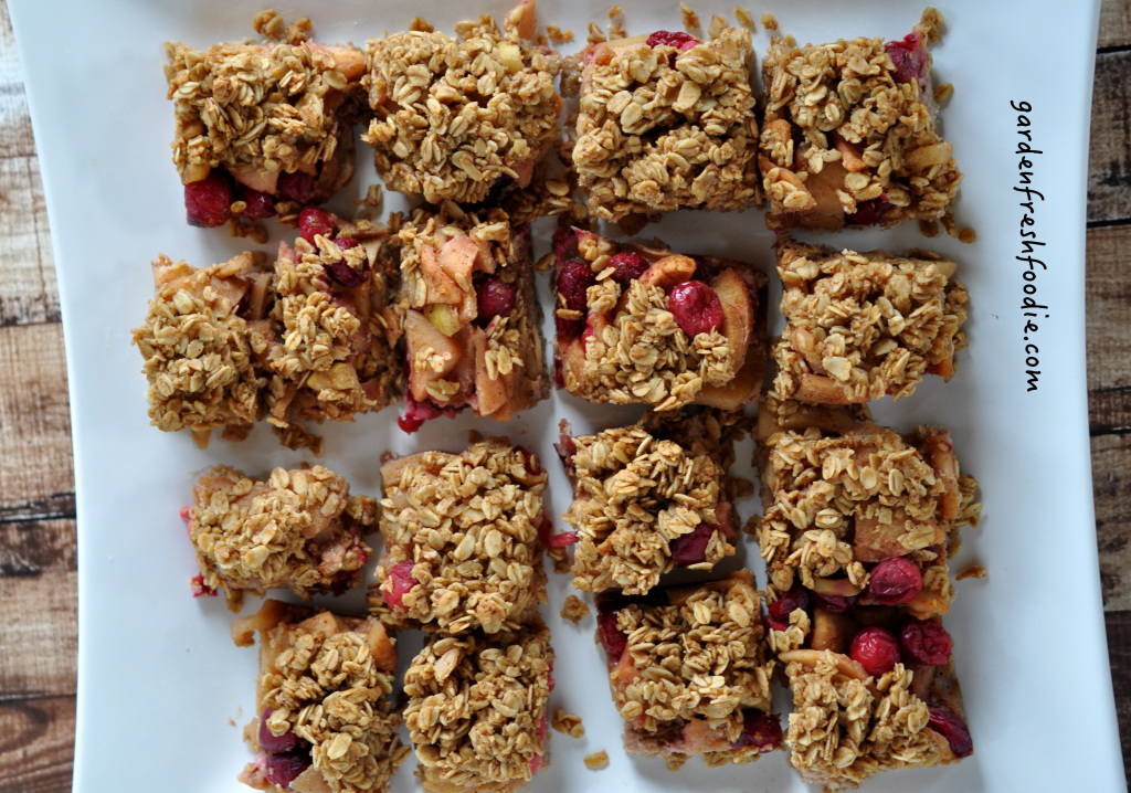 Plate of Apple Cranberry Bars