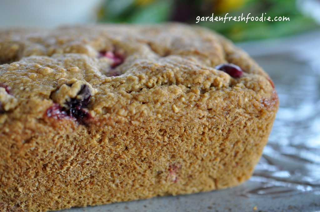 Pumpkin Cranberry Loaf