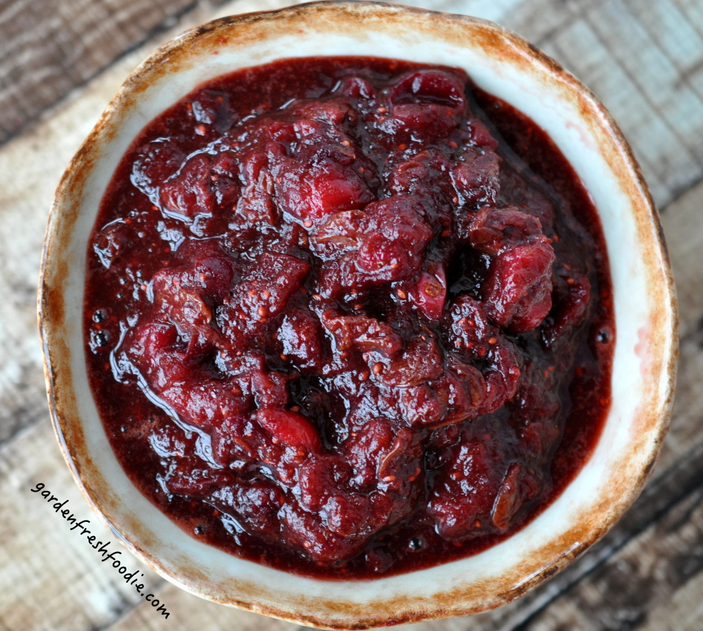 Bowl of Cranberry and Dried Cherry Sauce