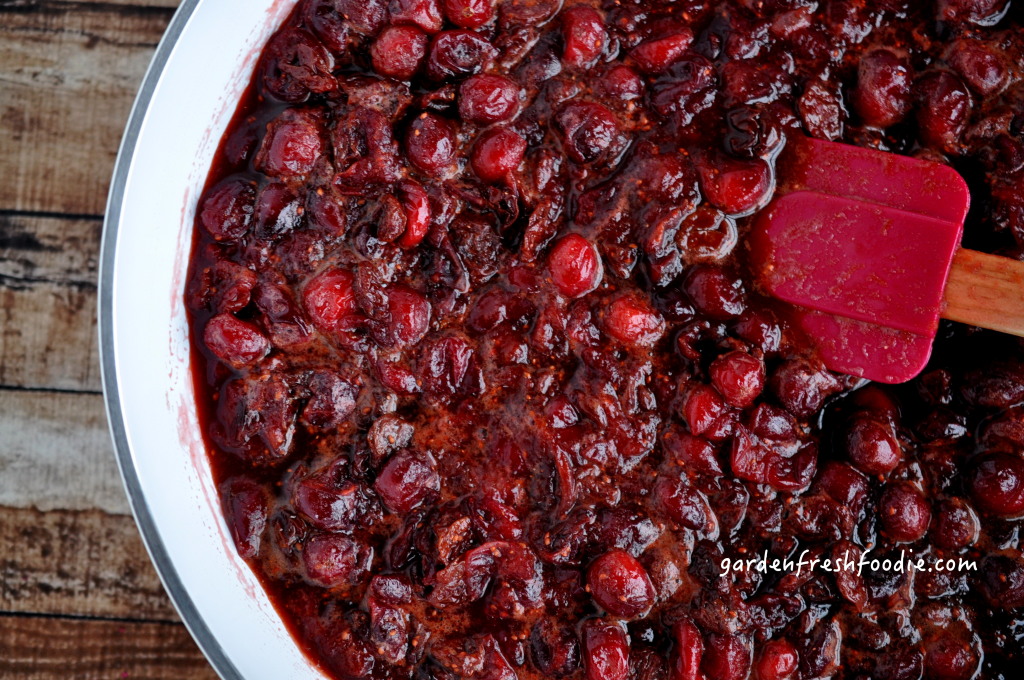 Cranberry and Dried Cherry Sauce