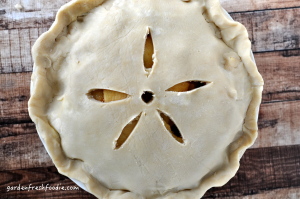 Gluten Free Apple Pie