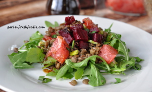 Plate of Winter Lentil Salad With Oil Free Balsamic Vinaigrette