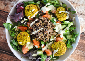 Falafel Salad Topped With Lentils and Tahini