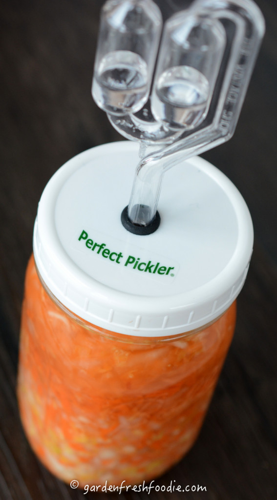 Fermenting Kimchi In The Perfect Pickler