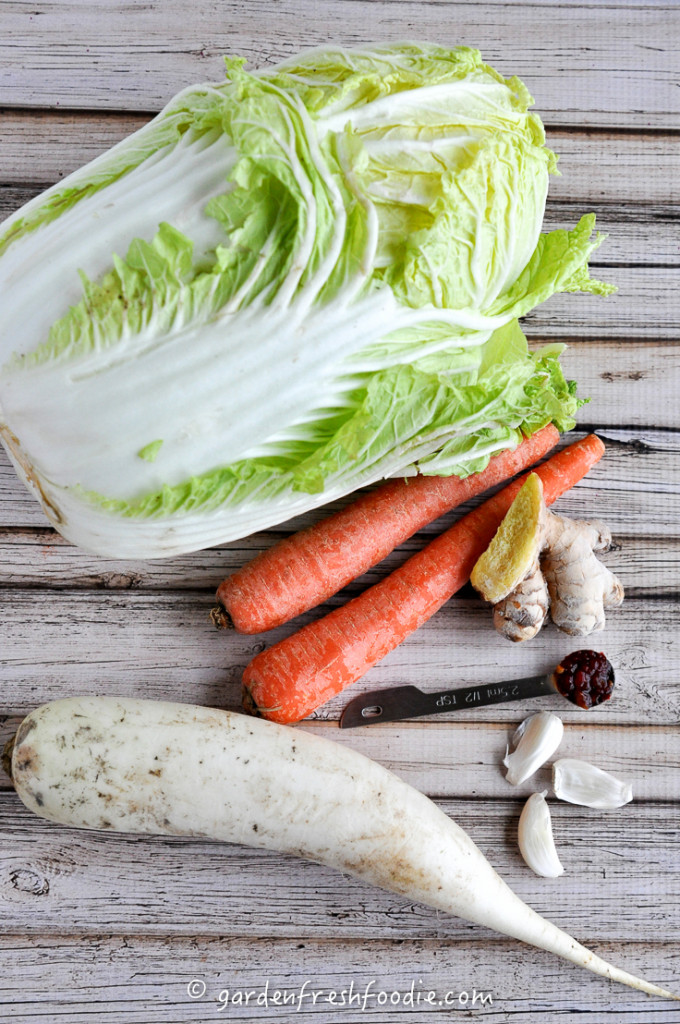 Ginger Kimchi Ingredients With Carrot &Daikon