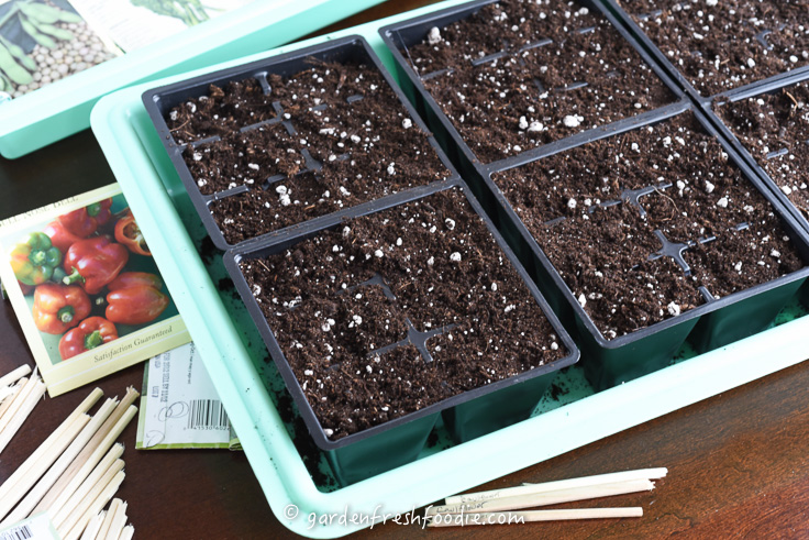 Prepping Soil For Starting Seeds Indoors