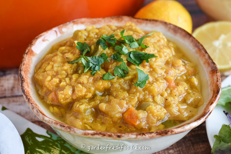 Bowl of Spicy Red Lentil Chili