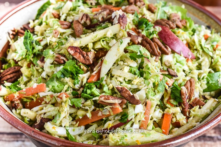 Chipotle Brussels Sprout Slaw