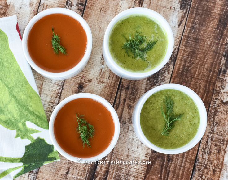 Fresh Spring Pea Soup and Raw Dilled Out Carrot Soup Appetizers