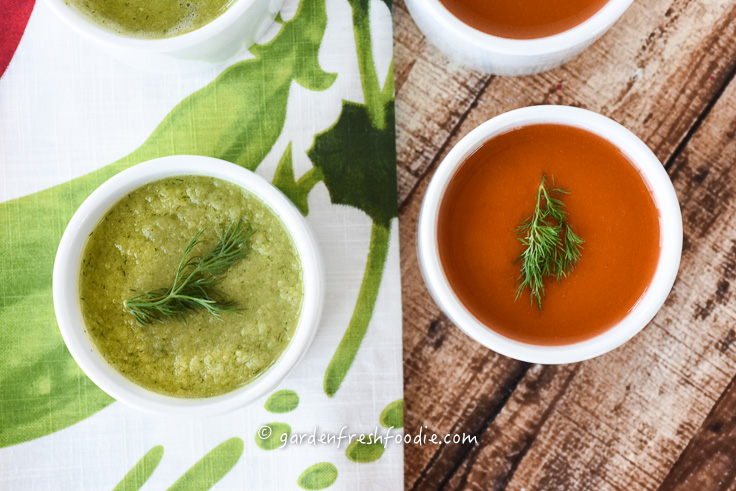 Fresh Spring Pea Soup and Raw Dilled Out Carrot Soup