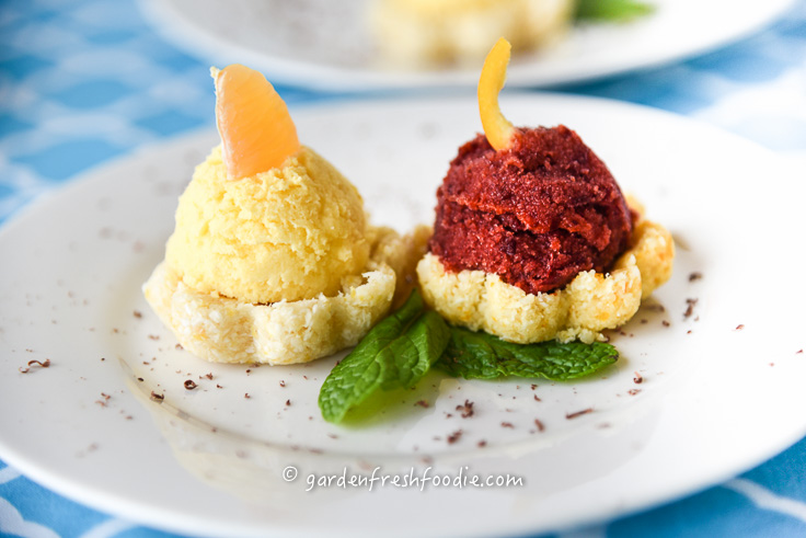 Black Cherry and Clementine Sorbets on Coconut Tartlets