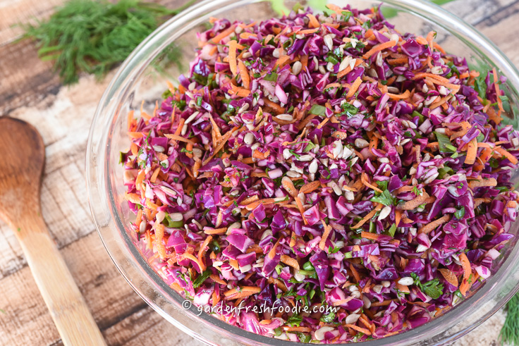 Bowl of Red Cabbage Slaw
