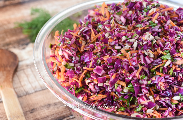 Crunchy Red Cabbage Slaw