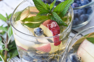 Glass of White Wine Sangria With Fresh Peaches and Blueberries