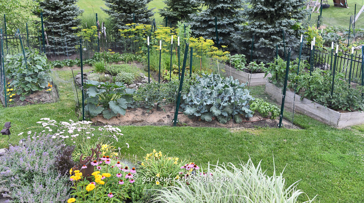 July Organic Garden