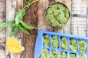Freezing Pine Nut Pesto In Trays