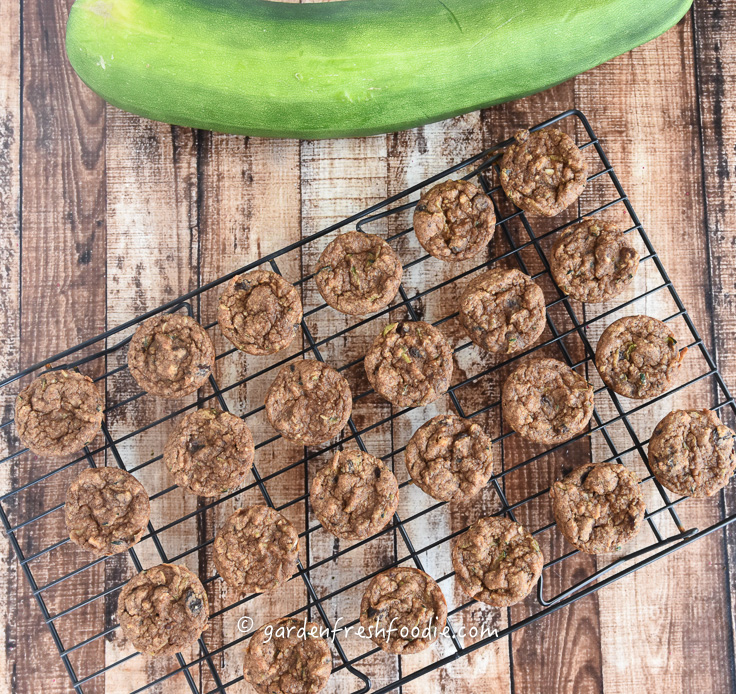 Vegan Zucchini Apple Muffins