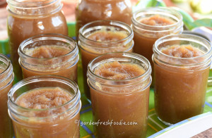 Apple Maple Jam