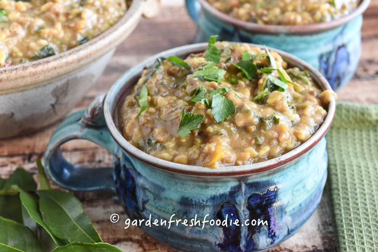 Bowl of Kitchari-Indian Stew