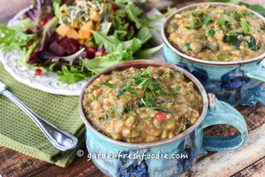 Bowls of Kitchari-Indian Stew and Salad With Roasted Root Veggies