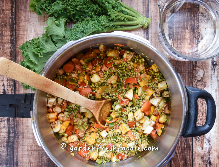 Cooking Kitchari-Indian Stew