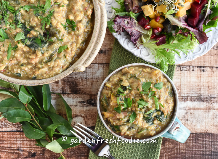 Kitchari-Indian Stew