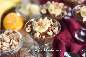 Chocolate Orange Chia Seed Pudding