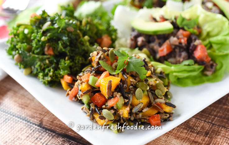 Plated Rainbow Rice Salad