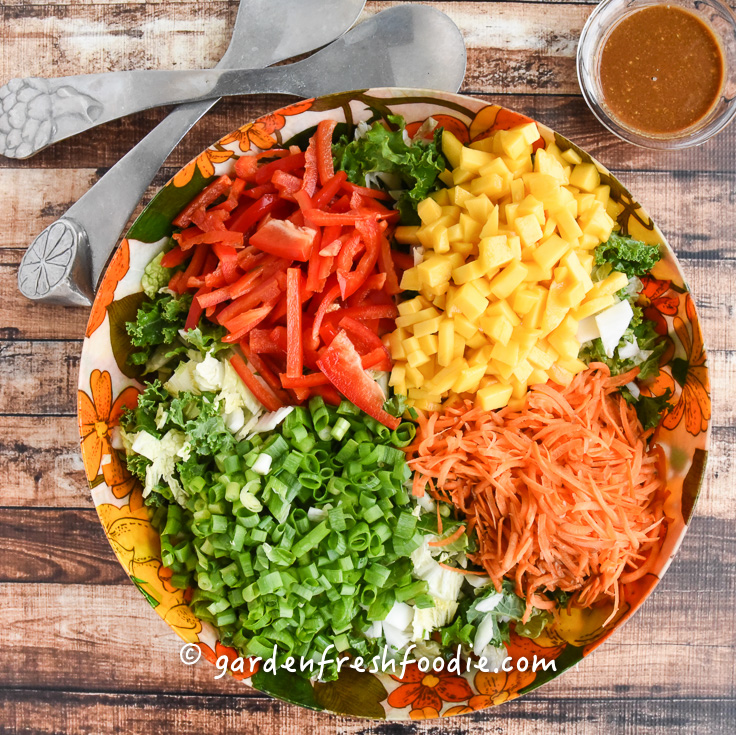 Rainbow Kale Salad Prepped