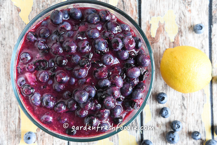 Healthy Blueberry Pie Filling