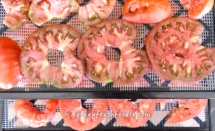 Tomatoes for dehydrating