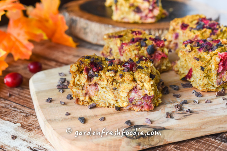 Pumpkin Oatmeal Cranberry Breakfast Bars With Cacao